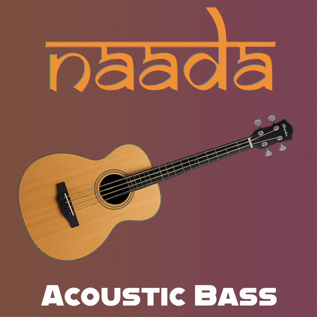Naada Acoustic Bass
