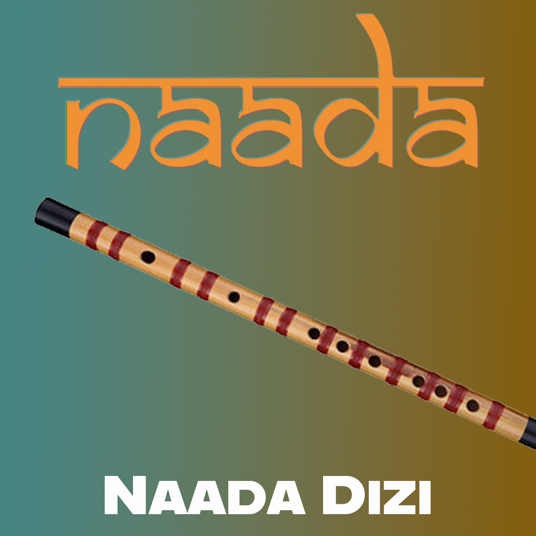 Naada Dizi